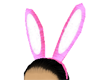 *Silky Pink Bunny Ears*