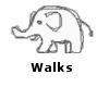 Walkin Elephant