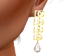 dgdgdgdg Earrings