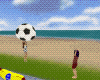 Play giant soccer ball