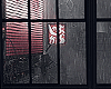 金 Rain Window