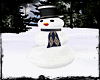 *A*Winter snowman poses