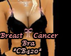 Bra with a cause
