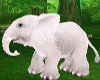Animated TnT Elephant
