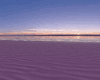 Beach Sunset View