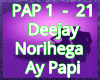 Deejay Northega Ay Papi