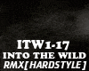 RMX[HS]INTO THE WILD