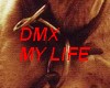 DMX-MY LIFE