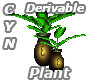 Derivable Plant Mesh