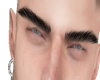 F. Brows Black
