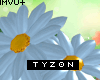 TY-Daisy Blue Bouquet