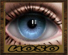 Blue Eyes Blue Eyes