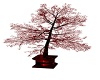 (c) RD Satin Tree