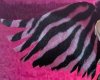 Pink zebra wings