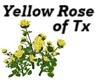 Yellow Rose of Tx