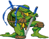 Ninja Turtle