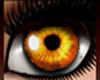  Eyes Orange