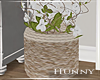 H. Flower Basket