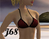 J68 Bikini Red Pinstripe