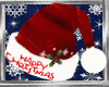 DC..SANTA HAT  FEM