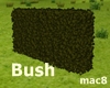 Long Bush