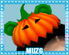 M| Pumpkin Hat M