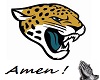 Jaguars NFL Jersey (F)