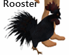 Rooster Floyd