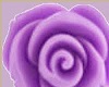 Purple wall flowers