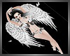 SL Fairy Rose Angel Bund