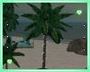 Island Light Palm