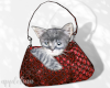 🍎🐰 Red Bag w Cat