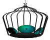 Blk/Teal Swing Chair