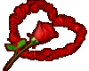 Rose in Heart of Love