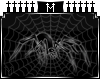 : M : Spider [F]