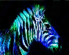 !A! Neon Zebra Picture