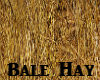 Bale Hay