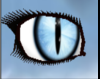 [ST] Blueberry Eyes