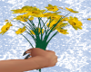Daffodils