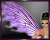 *Lb* Fairy Wing Purple