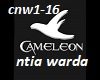 Cameleon ntia warda