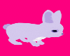Purple Easter Bunny MF