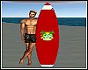 Personal Surfboard