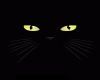 Meowtallica Ozyn