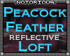 Peacock Feather Loft