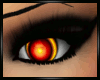 Phoenix Eyes