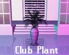 White Club Plant