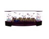 {LS} Fish Tank Couch