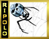 Ani Skull Spider & Web