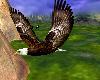 BT Eagle Friend Flys Brn